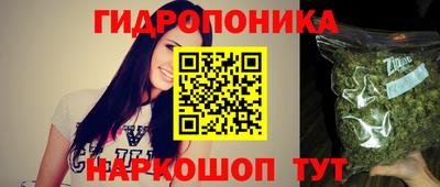 синтетический гашиш Кингисепп