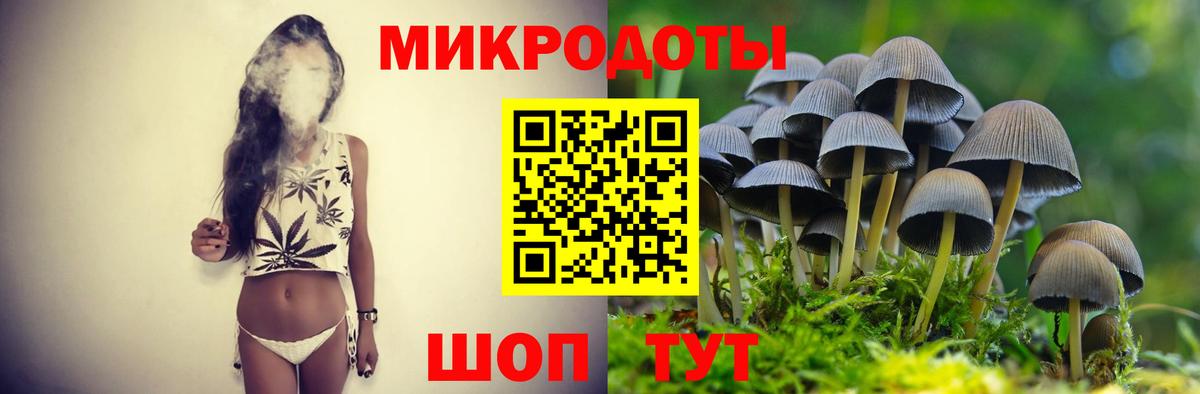 Галлюциногенные грибы Psilocybe Клин